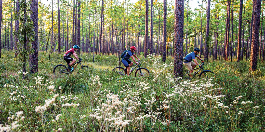 Family mountain biking