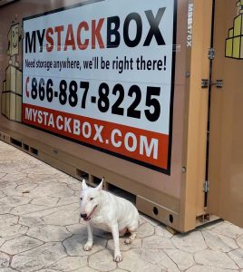 MSB-AT-PET-CLINIC-1920w