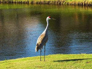 port-st-lucie-1920w-f7f5d7f7