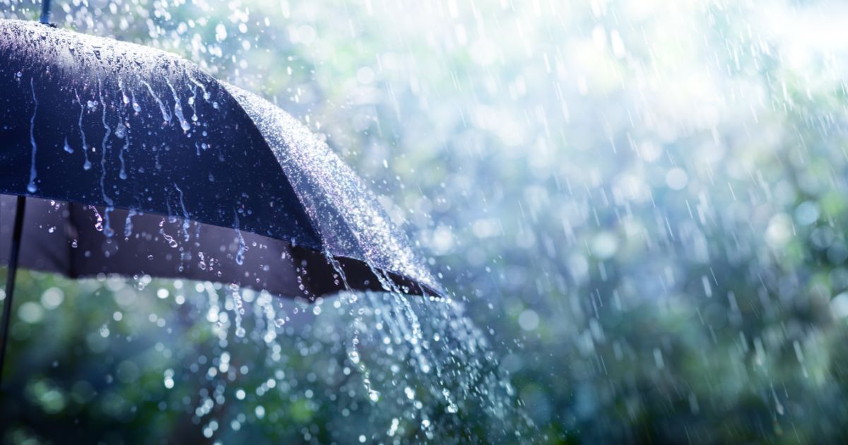 Umbrella in the rain