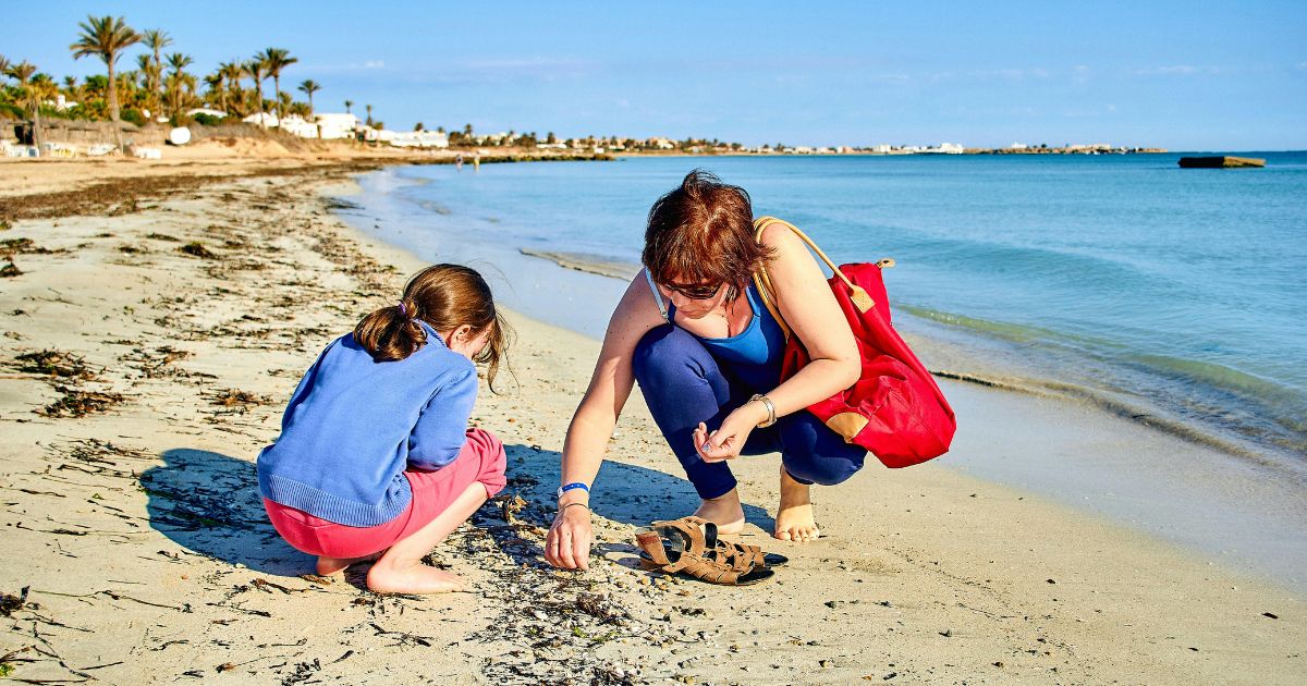 People collecting shells