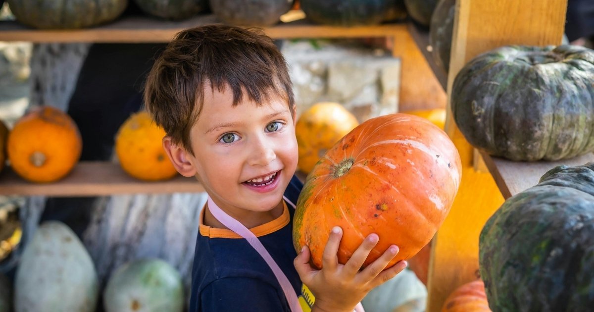 Fall festival in south florida