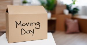 Moving box - MyStackBox Moving box